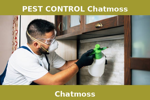 PEST CONTROL Chatmoss